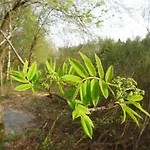 Scenic In Rahier Casa vacanze