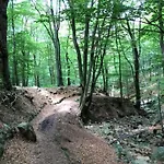 Scenic In Rahier * Stoumont