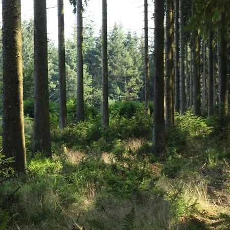 Vakantiehuis Scenic In Rahier *