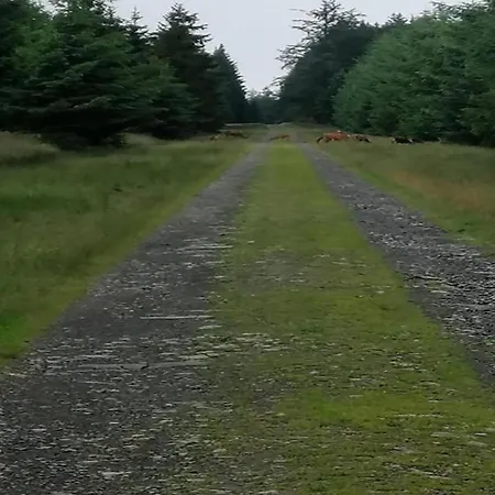 Scenic In Rahier 度假居 *