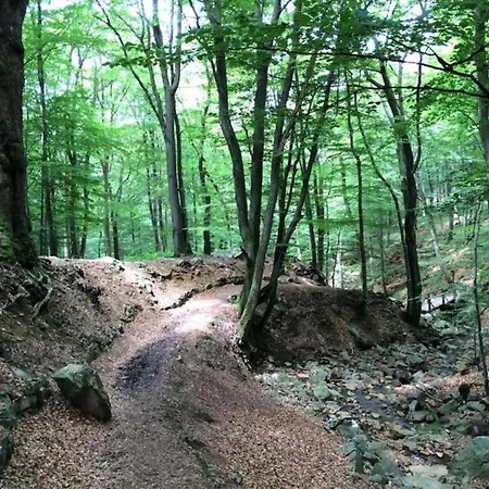 Scenic In Rahier * Stoumont